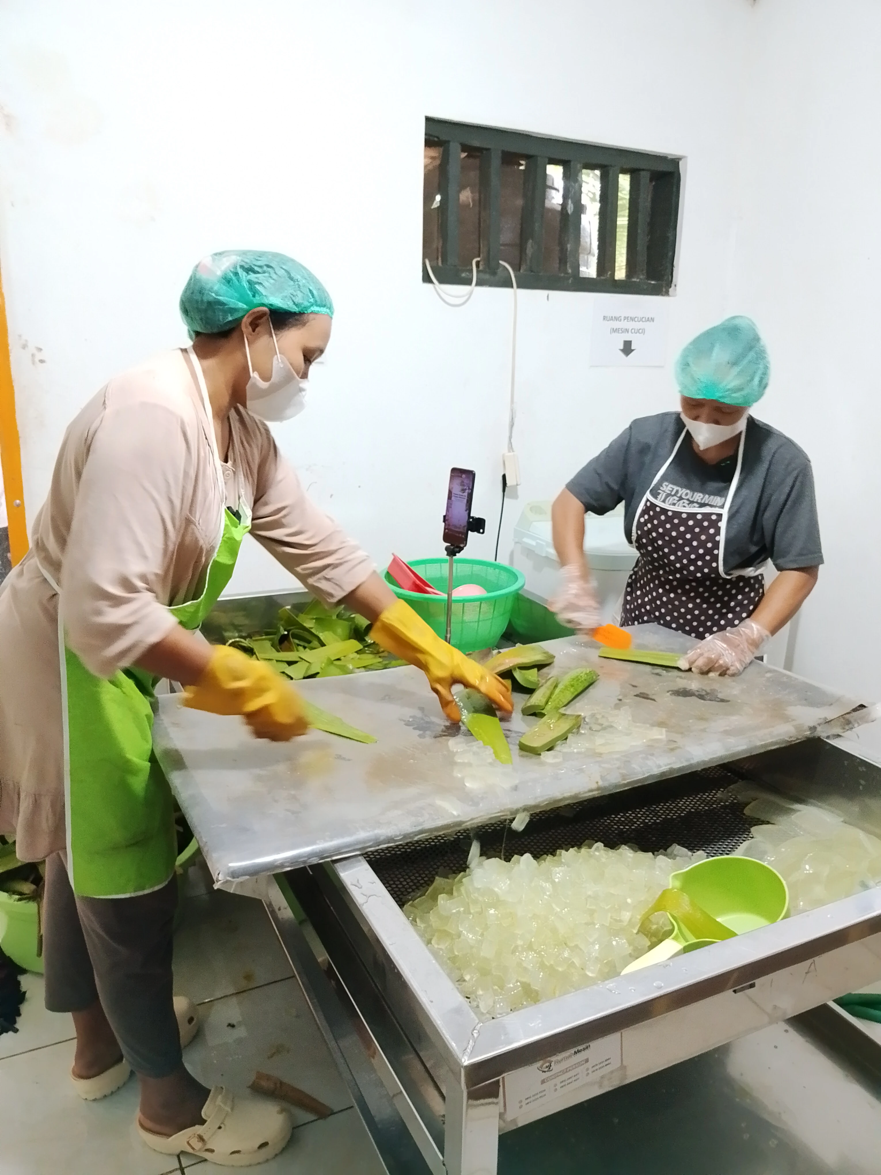 Aktivitas Kebun Alzavera 4